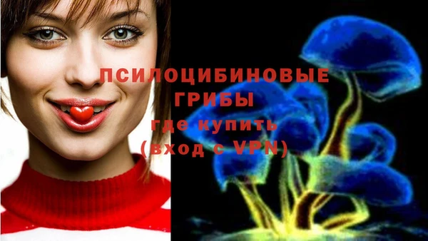 прущие крисы Алексеевка