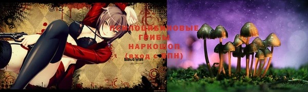 кокаин Алексин