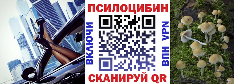 Купить где  Юрьев-Польский  Псилоцибиновые грибы Cubensis 